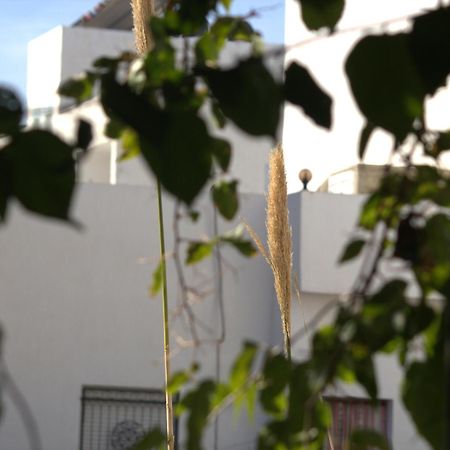 Residence Sterne Hammam al Ghazzaz Ngoại thất bức ảnh